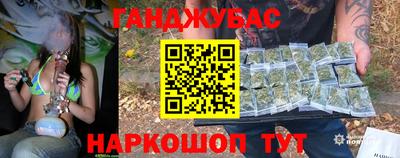 прущие грибы Северобайкальск