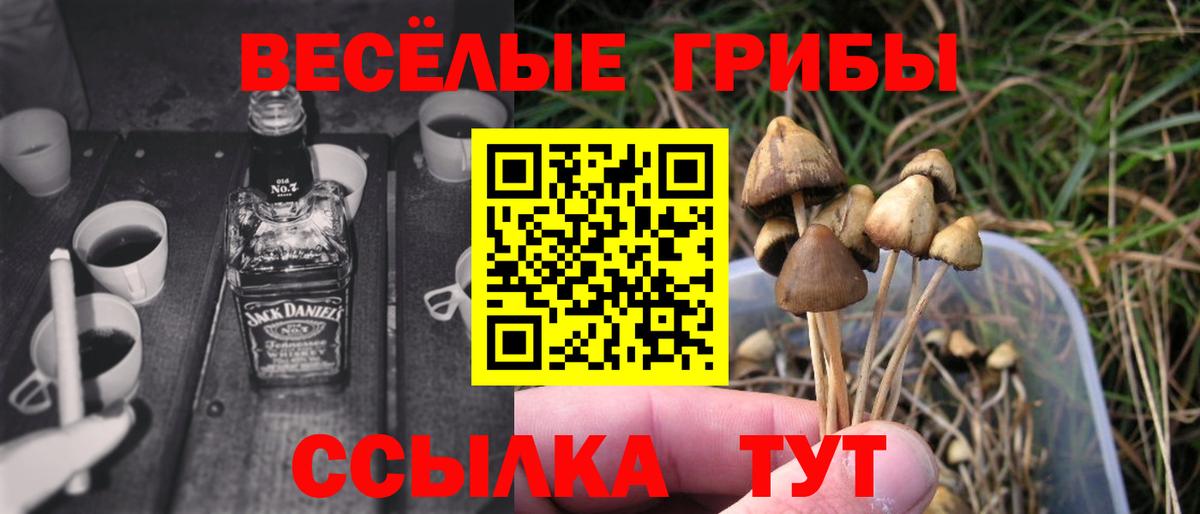 Псилоцибиновые грибы Cubensis  Галлюциногенные грибы Cubensis  Новый Уренгой  Вход с VPN 